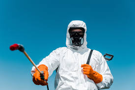 Best Residential Pest Control  in Lake Junaluska, NC